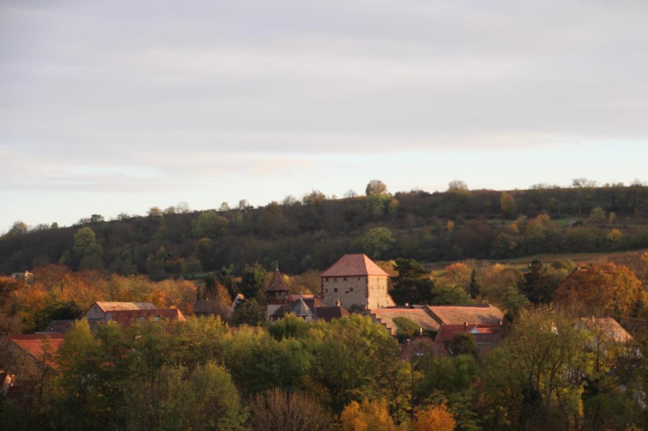 Ferienwohnung Im Schoenen Zellertal Wachenheim an der Weinstraße Exteriör bild