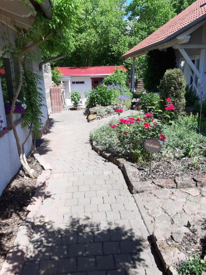 Ferienwohnung Im Schoenen Zellertal Wachenheim an der Weinstraße Exteriör bild