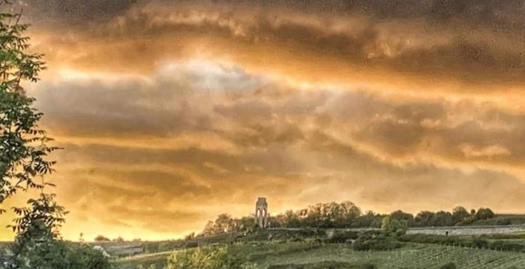 Ferienwohnung Im Schoenen Zellertal Wachenheim an der Weinstraße Exteriör bild
